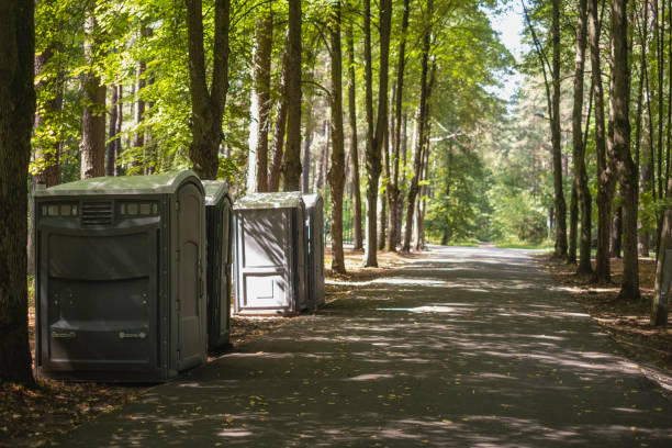 Best High-end porta potty rental  in New Madrid, MO